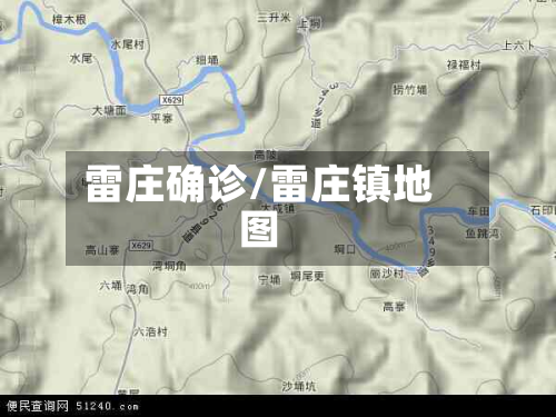 雷庄确诊/雷庄镇地图