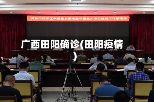 广西田阳确诊(田阳疫情)-第2张图片