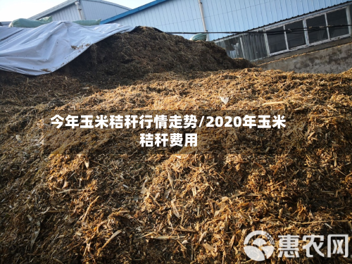 今年玉米秸秆行情走势/2020年玉米秸秆费用-第2张图片