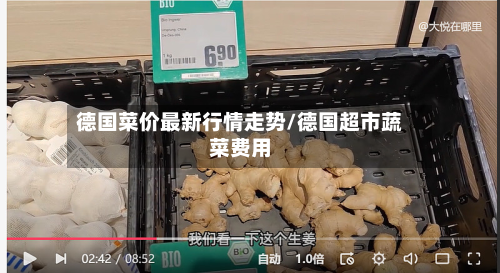 德国菜价最新行情走势/德国超市蔬菜费用