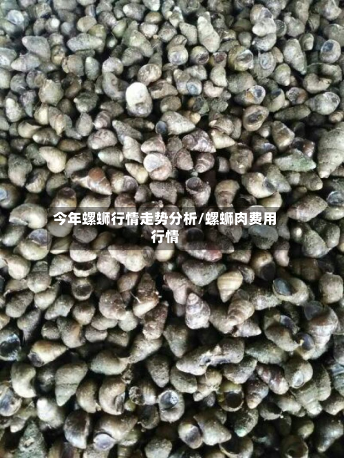 今年螺蛳行情走势分析/螺蛳肉费用行情