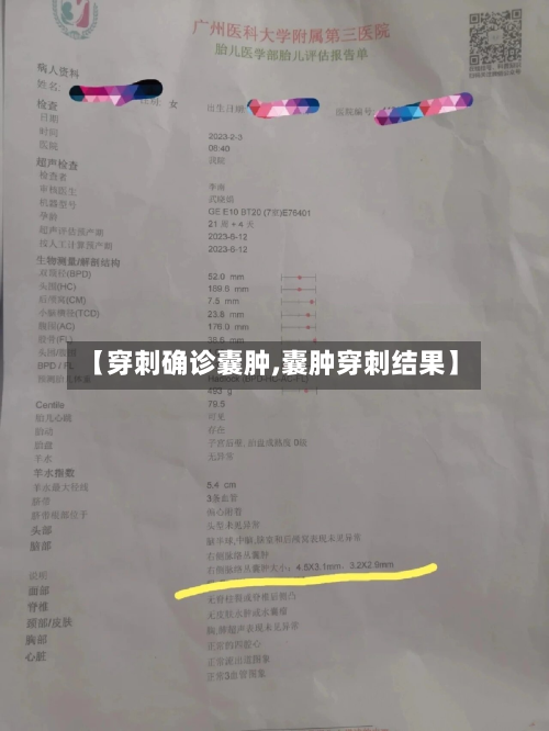 【穿刺确诊囊肿,囊肿穿刺结果】-第2张图片