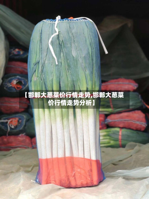 【邯郸大葱菜价行情走势,邯郸大葱菜价行情走势分析】