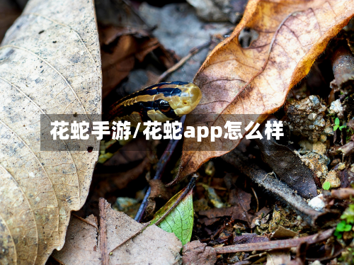 花蛇手游/花蛇app怎么样-第2张图片