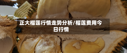 正大榴莲行情走势分析/榴莲费用今日行情-第2张图片