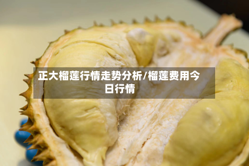 正大榴莲行情走势分析/榴莲费用今日行情-第3张图片