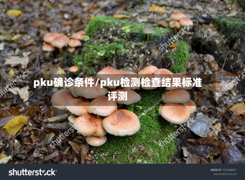 pku确诊条件/pku检测检查结果标准评测-第2张图片