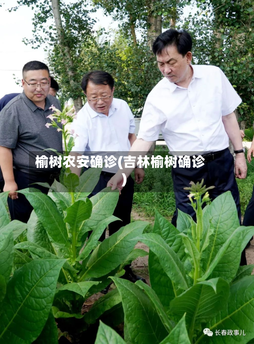 榆树农安确诊(吉林榆树确诊)