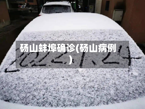 砀山蚌埠确诊(砀山病例)
