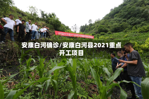 安康白河确诊/安康白河县2021重点开工项目