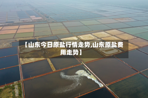 【山东今日原盐行情走势,山东原盐费用走势】-第2张图片
