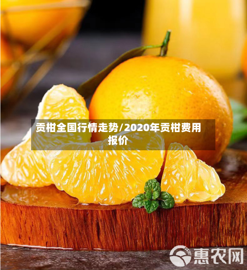 贡柑全国行情走势/2020年贡柑费用报价