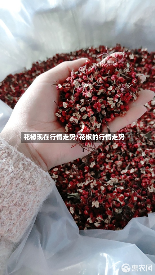 花椒现在行情走势/花椒的行情走势-第1张图片