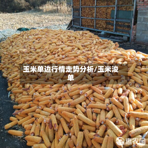 玉米单边行情走势分析/玉米浚单