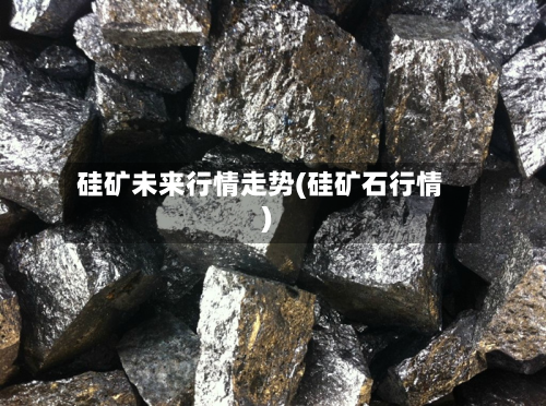 硅矿未来行情走势(硅矿石行情)