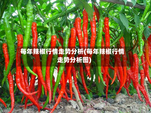 每年辣椒行情走势分析(每年辣椒行情走势分析图)-第2张图片
