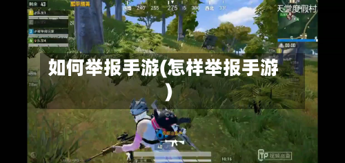 如何举报手游(怎样举报手游)