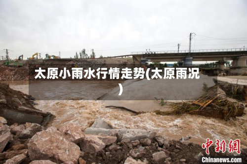 太原小雨水行情走势(太原雨况)