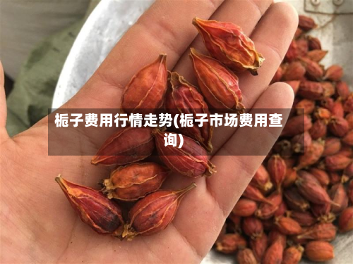 栀子费用行情走势(栀子市场费用查询)-第2张图片