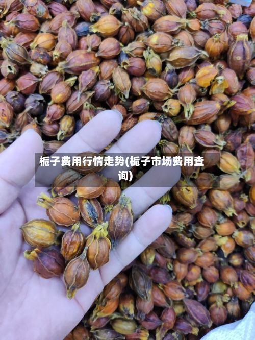 栀子费用行情走势(栀子市场费用查询)