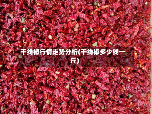干线椒行情走势分析(干线椒多少钱一斤)-第2张图片