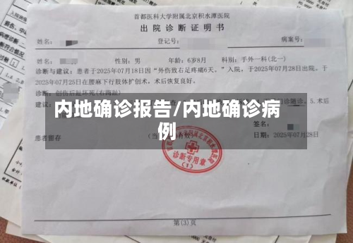 内地确诊报告/内地确诊病例