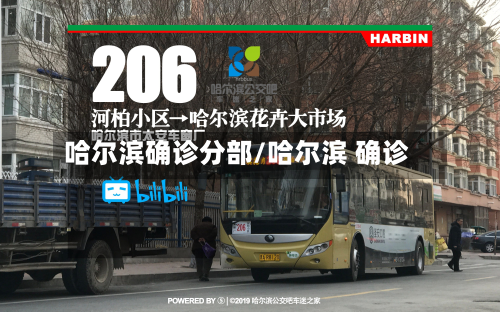 哈尔滨确诊分部/哈尔滨 确诊
