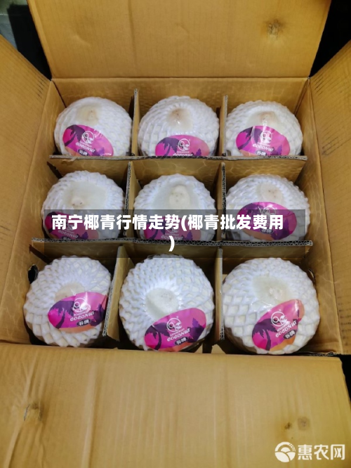 南宁椰青行情走势(椰青批发费用)