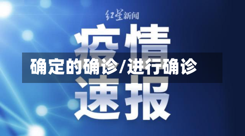确定的确诊/进行确诊