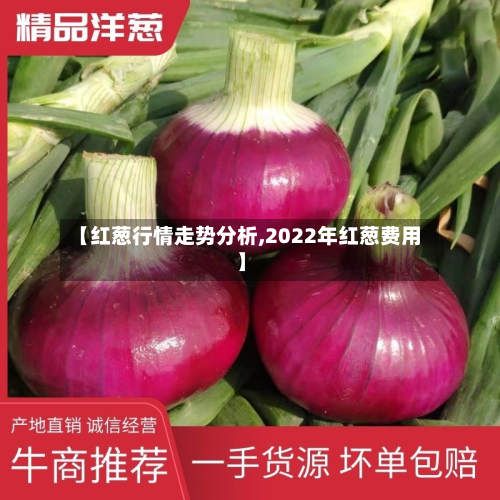 【红葱行情走势分析,2022年红葱费用】