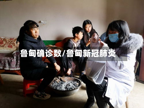 鲁甸确诊数/鲁甸新冠肺炎-第2张图片
