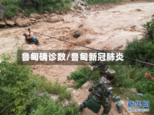 鲁甸确诊数/鲁甸新冠肺炎