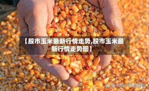 【股市玉米最新行情走势,股市玉米最新行情走势图】-第2张图片