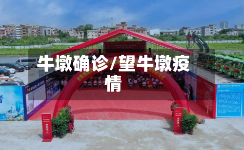 牛墩确诊/望牛墩疫情-第2张图片