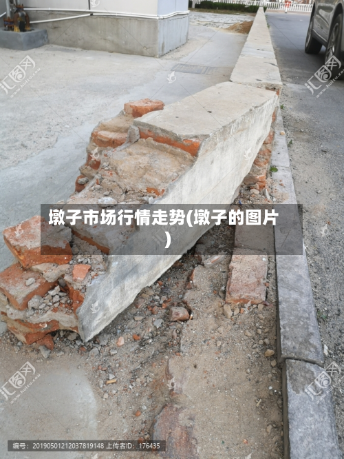 墩子市场行情走势(墩子的图片)-第2张图片