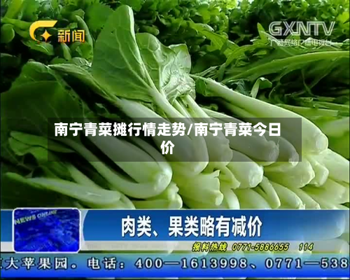 南宁青菜摊行情走势/南宁青菜今日价-第2张图片