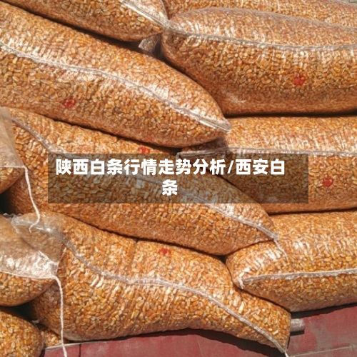 陕西白条行情走势分析/西安白条