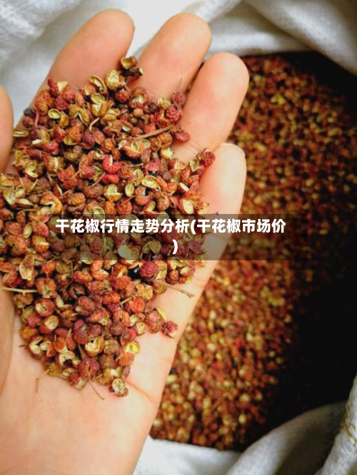 干花椒行情走势分析(干花椒市场价)