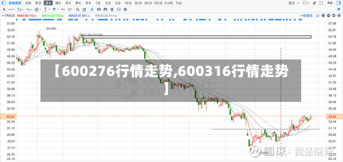 【600276行情走势,600316行情走势】