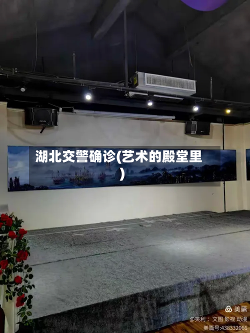 湖北交警确诊(艺术的殿堂里)-第2张图片