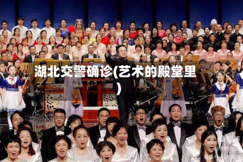 湖北交警确诊(艺术的殿堂里)