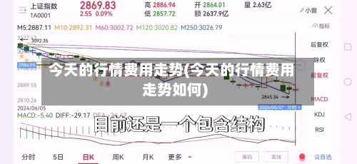 今天的行情费用走势(今天的行情费用走势如何)-第2张图片