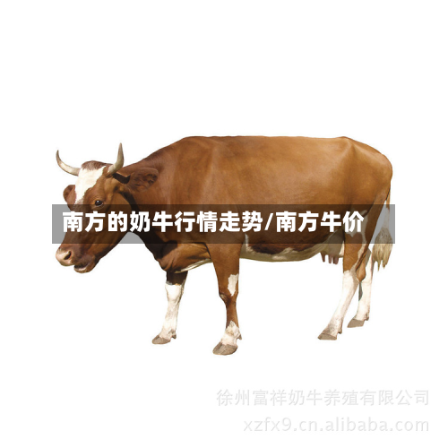 南方的奶牛行情走势/南方牛价-第3张图片