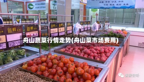 舟山蔬菜行情走势(舟山菜市场费用)-第3张图片