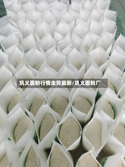 巩义面粉行情走势最新/巩义面粉厂