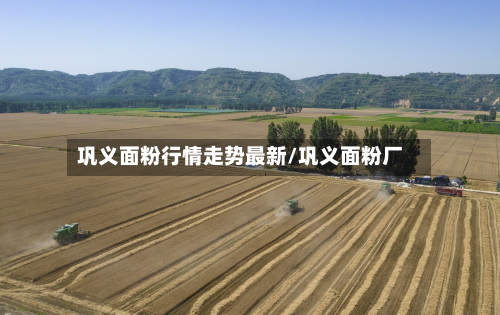 巩义面粉行情走势最新/巩义面粉厂-第2张图片