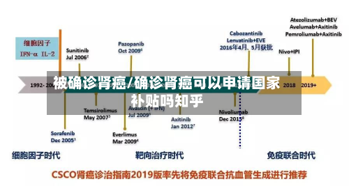 被确诊肾癌/确诊肾癌可以申请国家补贴吗知乎-第2张图片