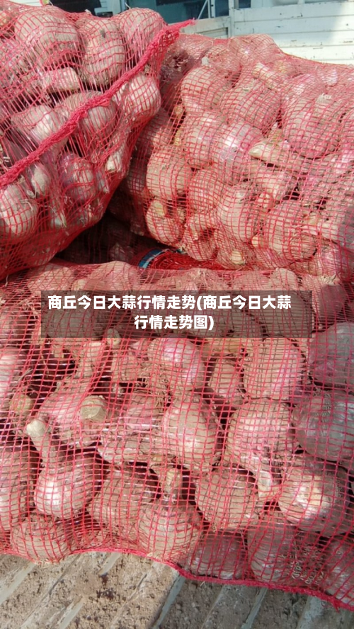 商丘今日大蒜行情走势(商丘今日大蒜行情走势图)-第2张图片