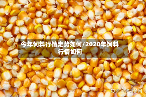 今年饲料行情走势如何/2020年饲料行情如何-第2张图片