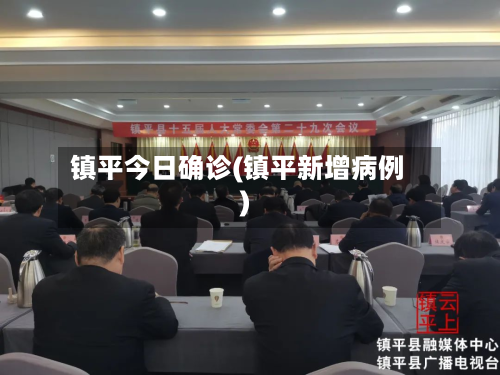 镇平今日确诊(镇平新增病例)-第2张图片